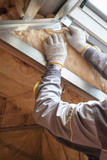Best Insulation Maintenance and Repair in Worland, WY